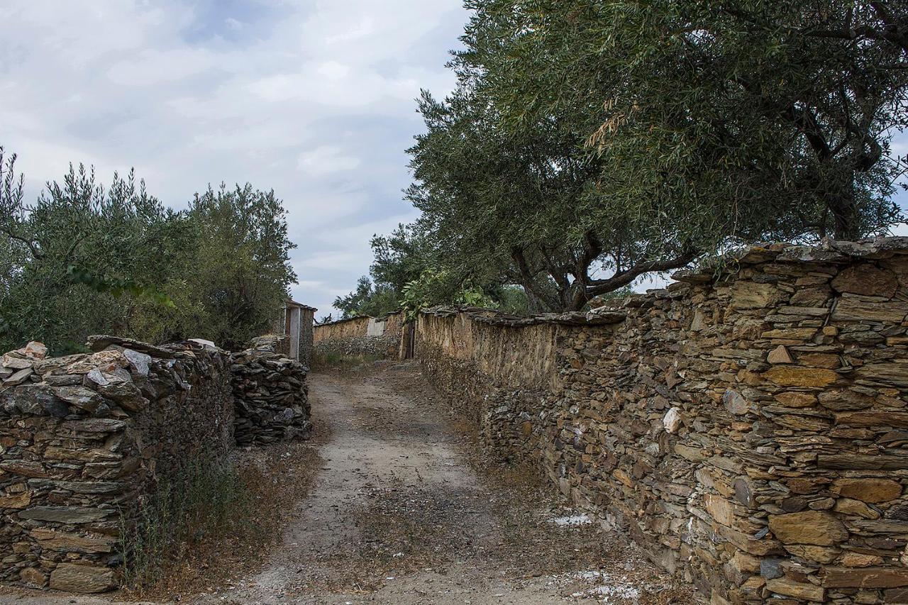 Maison d'hôtes Casa Rural Julio Vegas à Santiago Del Campo Extérieur photo